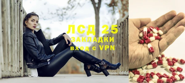 ПСИЛОЦИБИНОВЫЕ ГРИБЫ Снежинск