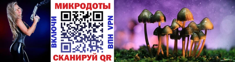 Псилоцибиновые грибы прущие грибы  хочу   Муром 