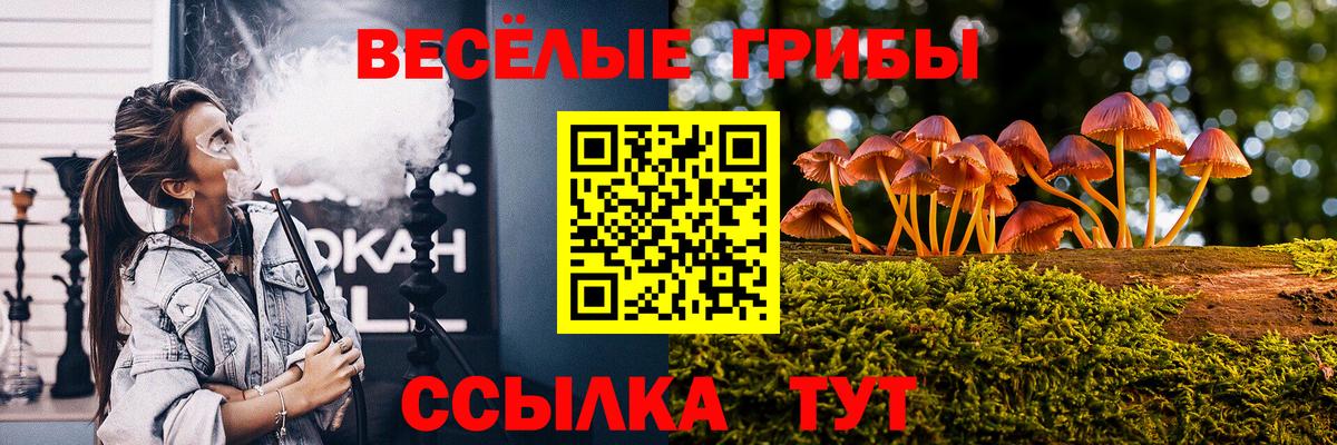 Муром  Псилоцибиновые грибы ЛСД  Вход с VPN 