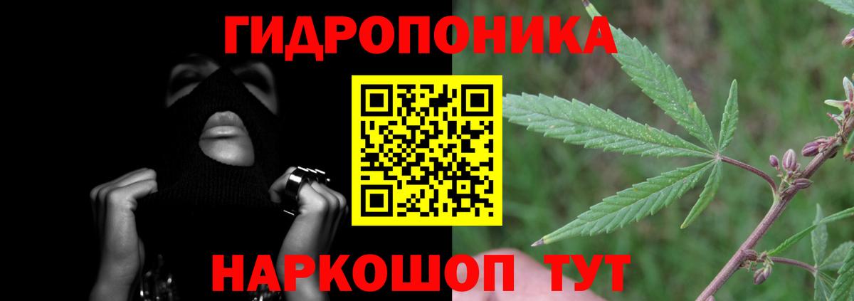 Марихуана Bruce Banner  Бошки Шишки LSD WEED  Вход с VPN  Муром  Конопля тримм 